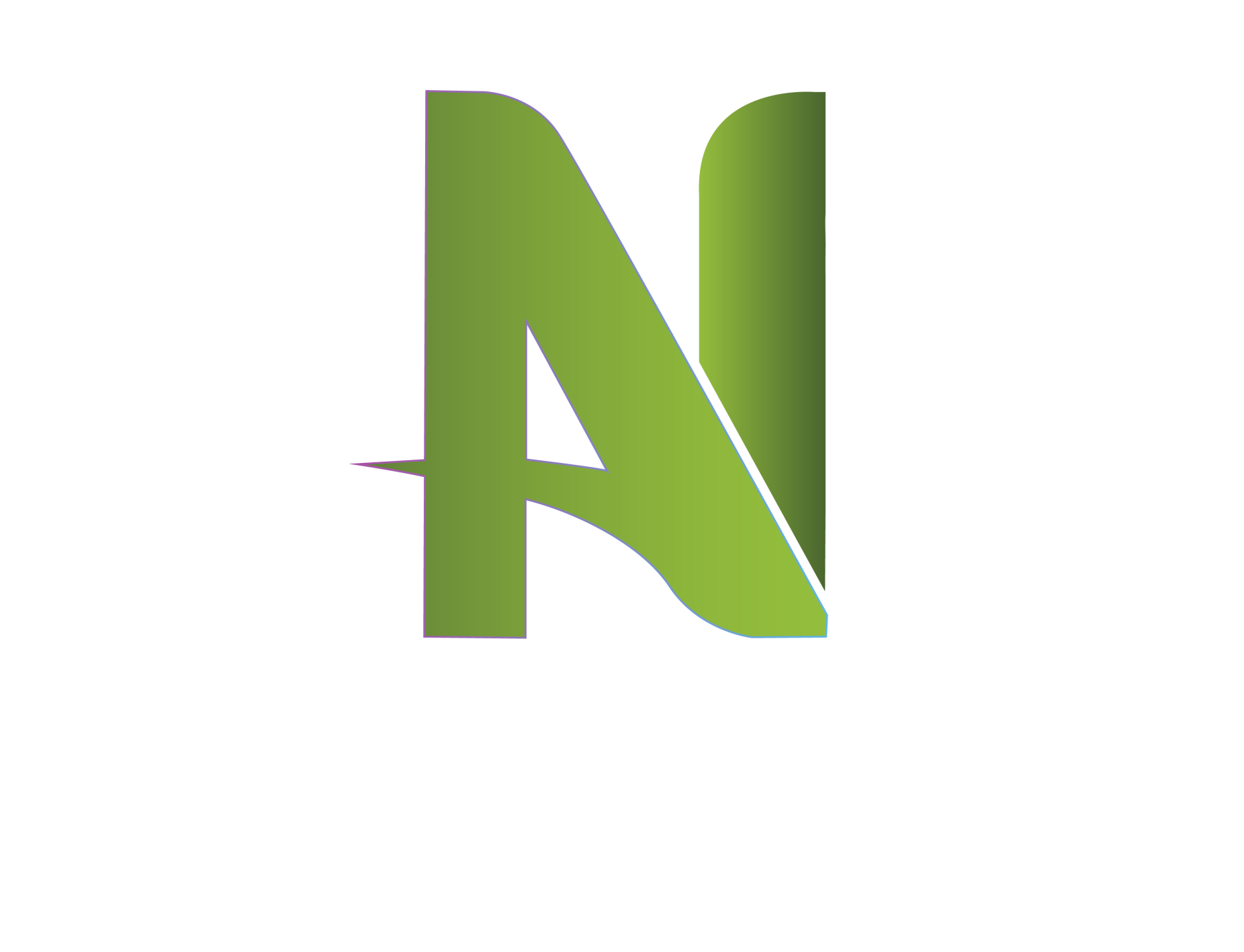 Afia Noor Oil Extraction (Pvt.) Limited